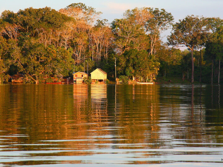 Racismo ambiental na Amazônia brasileira