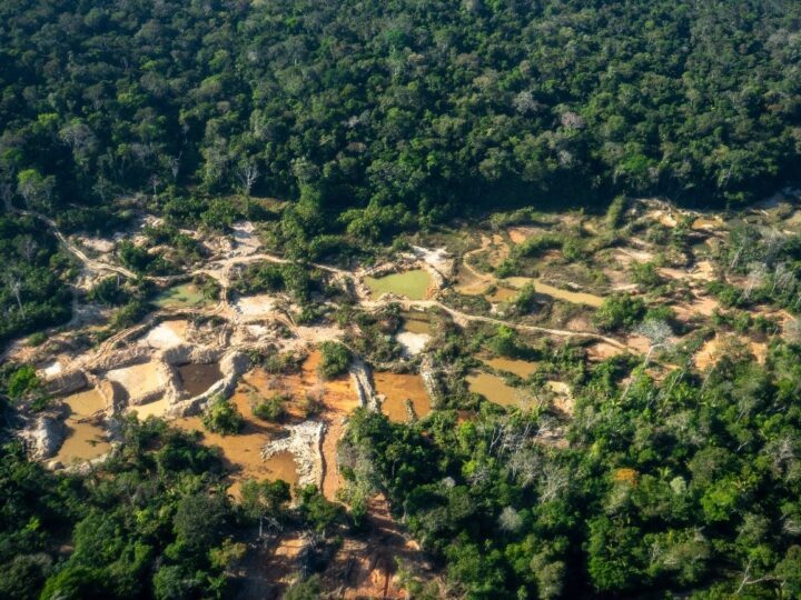 O avanço do garimpo ilegal na Terra Indígena Sete de Setembro