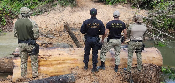 A atuação da PF no combate a crimes ambientais em Rondônia