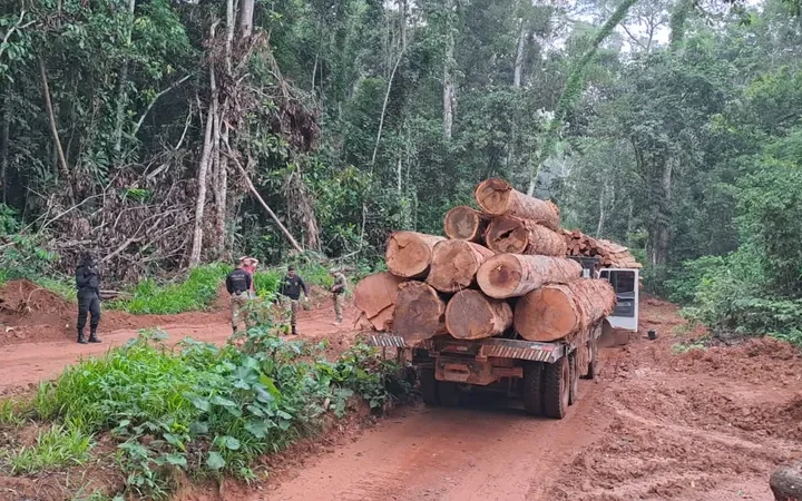 Operação conjunta PF e Ibama apreende equipamentos em áreas protegidas em Rondônia