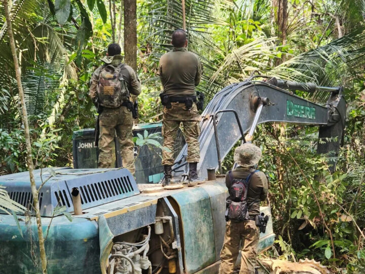 Terra Indígena Sete de Setembro: Operação Independência contra garimpo e extração de madeira