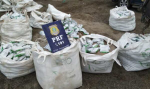 Apreensão de agrotóxicos pela PRF na região de Ariquemes - RO.