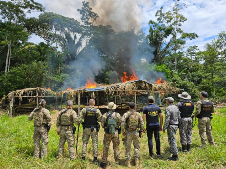 TI Uru-Eu-Wau-Wau: Operação Tapunhas contra invasores da terra indígena