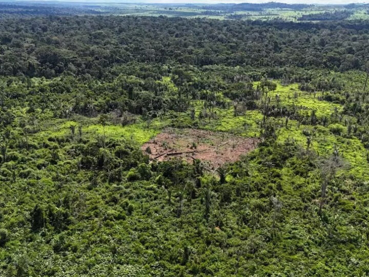 Indígenas Karipuna continuam denunciando o aumento da ação de invasores em seu território