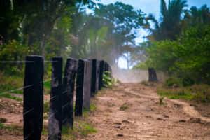 Área da Resex Jaci-Paraná, em Rondônia — Foto: Marcio Isensee e Sá/Oeco