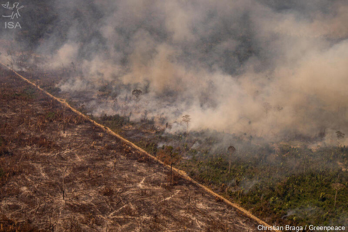 Queimada na Reserva Extrativista Jaci-Paraná, em Porto Velho (RO). Por: Christian Braga / Greenpeace