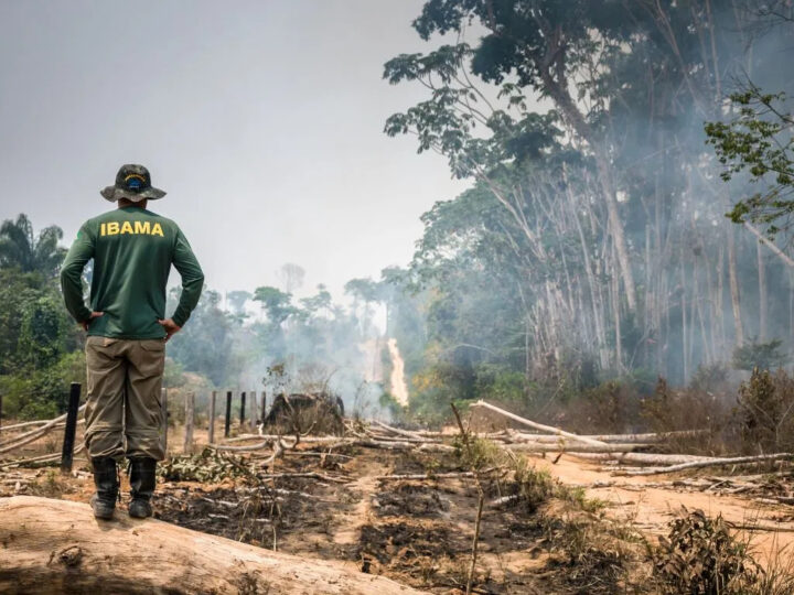 Paralisação e entrega de cargos de servidores federais marcam o Dia do Meio Ambiente