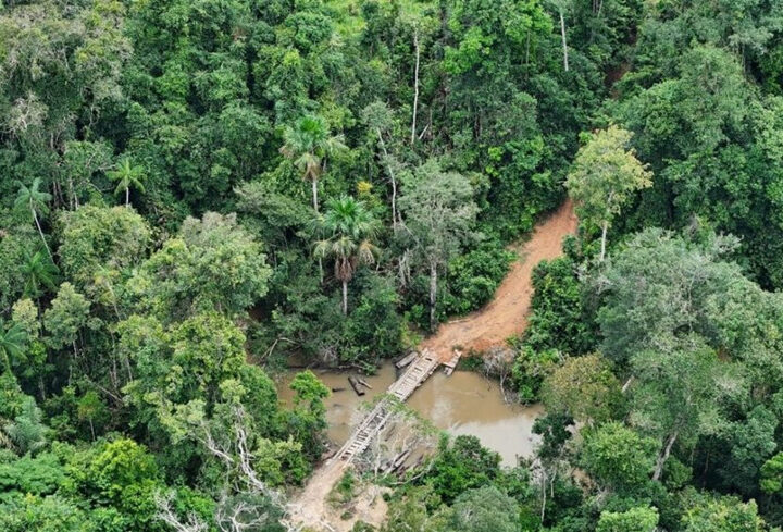 Operação de desintrusão na Terra Indígena Karipuna
