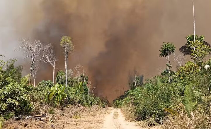 Parque Estadual de Guajará-Mirim: Incêndio já dura 14 dias