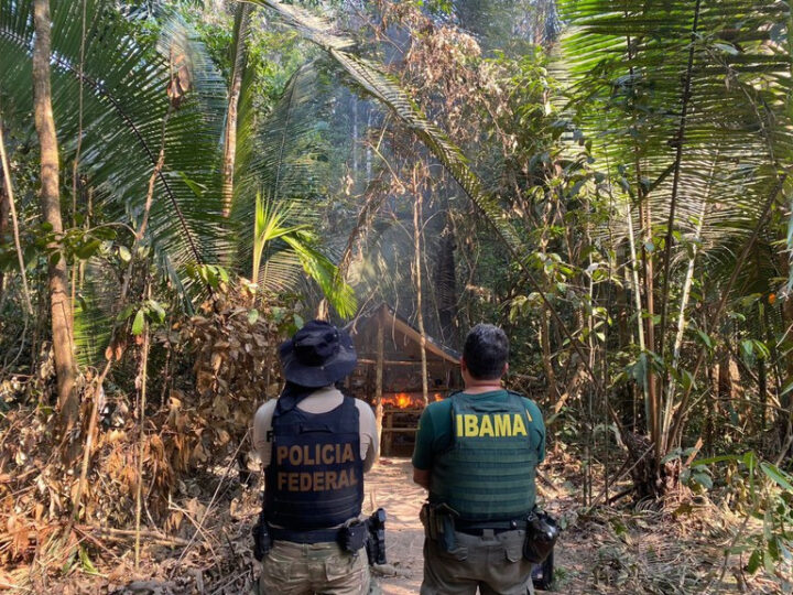 IBAMA e PF executam operação nas TIs Sete de Setembro e Zoró