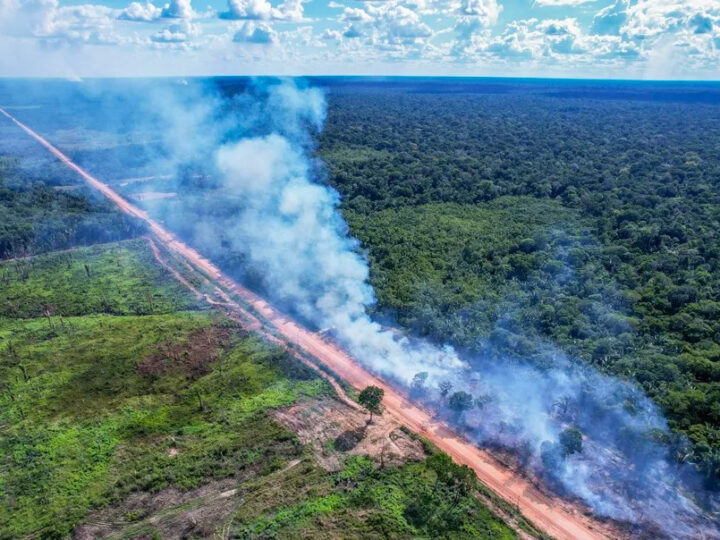 Licença Prévia da BR-319 é suspensa pela Justiça Federal