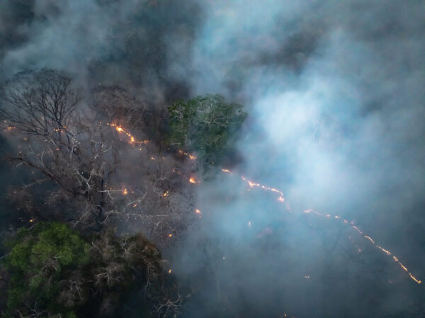 Linha de fogo na TI Sete Setembro. Foto: Observa Rondônia