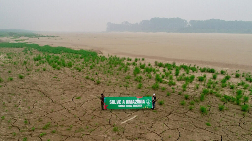 Seca no Baixo Madeira. Foto: Luis Gabriel / MAB.