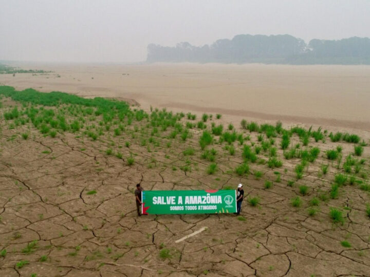 Dia da Amazônia e Seca em Rondônia: Rio Madeira marca menos de 1 metro