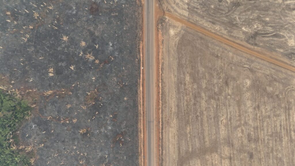 Desmatamento em Porto Velho (2024)