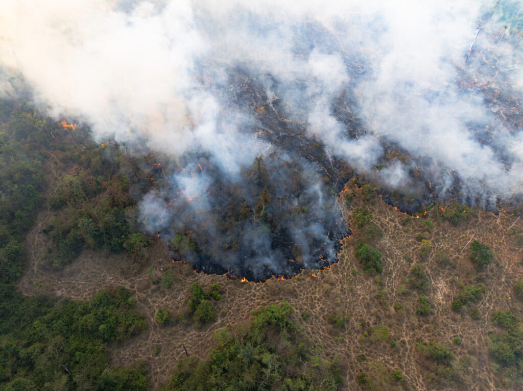 Fogo em território indígena em Rondônia. Foto: Observa RO