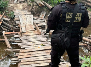 Operação Igarapé Lage. Comunicação Social da Polícia Federal em Rondônia