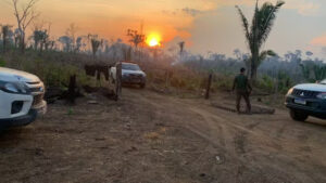 Ações da PM no Parque de Guajará-Mirim — Foto: Reprodução/Polícia Militar de Rondônia (PM-RO)