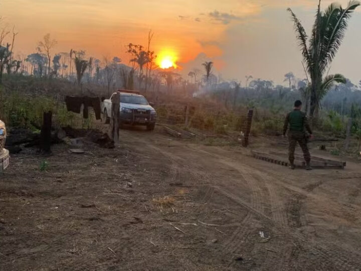 Parque Guajará-Mirim: policiais são atacados a tiros por criminosos ambientais
