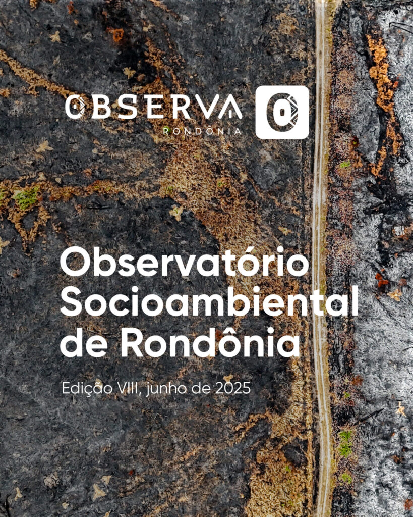 Boletim VIII do Observa RO