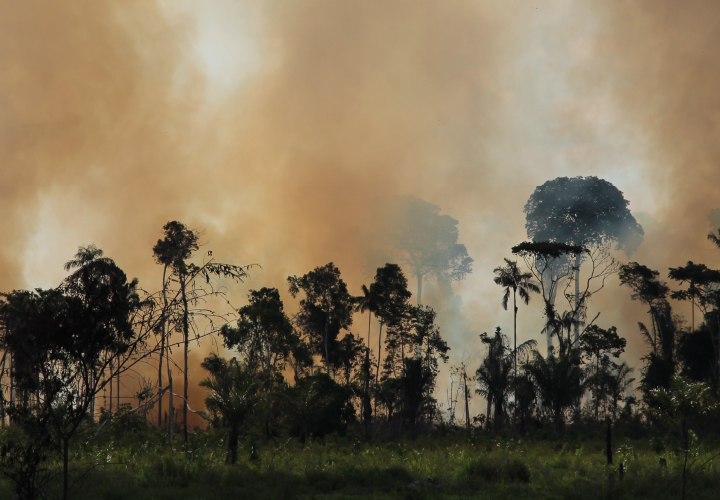 Operação estiagem ou enxugar gelo? O abismo entre o discurso preventivo e a realidade climática em Rondônia 